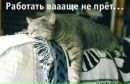 Фотография Пименовой Анастасии