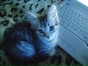 Полина Иванова фотография #2 (источник - https://vk.com/id402498)