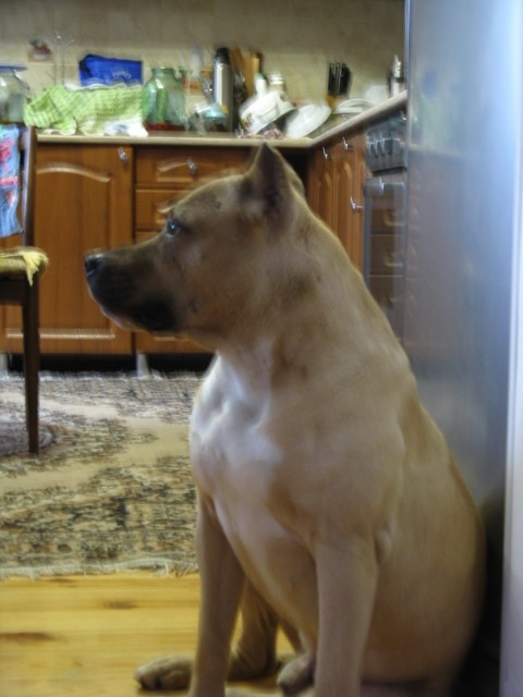 Сергей Дедов фотография #5