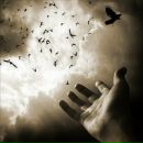 Фотография Куркова Дмитрия