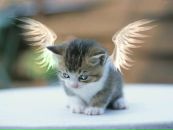 Фотография Клявиной Насти