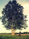Ан Нета фотография #29 (источник - https://vk.com/id63472326)