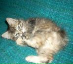 Фотография Полухина Андрея