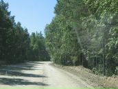 Дмитрий Таиров фотография #12 (источник - https://vk.com/id6359962)