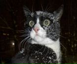 Фотография Кондратьева Юрия