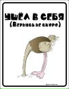 Фотография Андрей Бобков