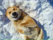 Фотография Юрчак Татьяны