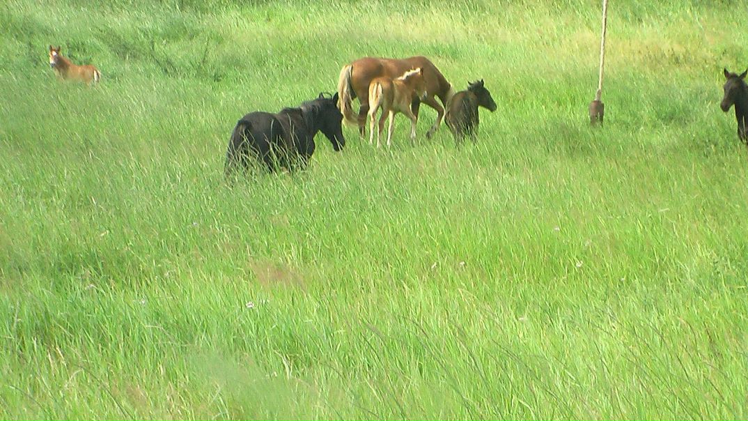 Игорь Лесков фото №41