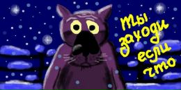 Фотография Шелкановцевой Светланы