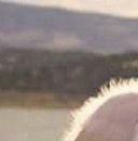 Іра Марциняк фотография #37 (источник - https://vk.com/id148611521)