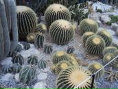 Юлія Ковальчук фотография #32 (источник - https://vk.com/id32600762)