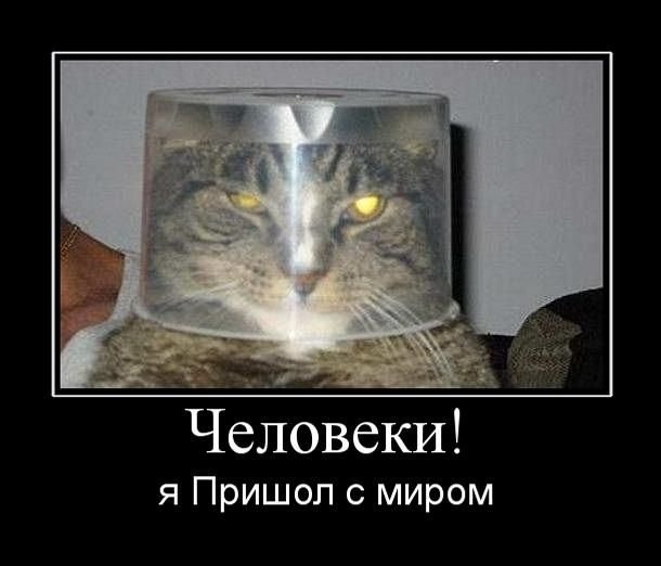 Виктор Бойко фотография #25
