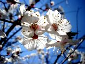 Альонка Єрмакова фотография #15 (источник - https://vk.com/id21075633)