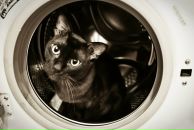 Фотография Брякиной Яны