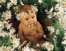 Фотография Цвигун Юлии