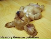 Фотография Паламодовой Тины