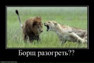 Фотография Kolya Kolya