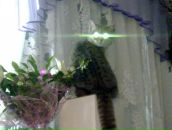 Фотография Жербекова Станислава