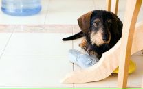 Роман Масалёв фотография #11 (источник - https://vk.com/id108017)