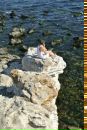 Фотография Луткова Николая