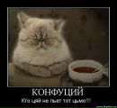 Макс Пронів фотография #11 (источник - https://vk.com/id44517894)