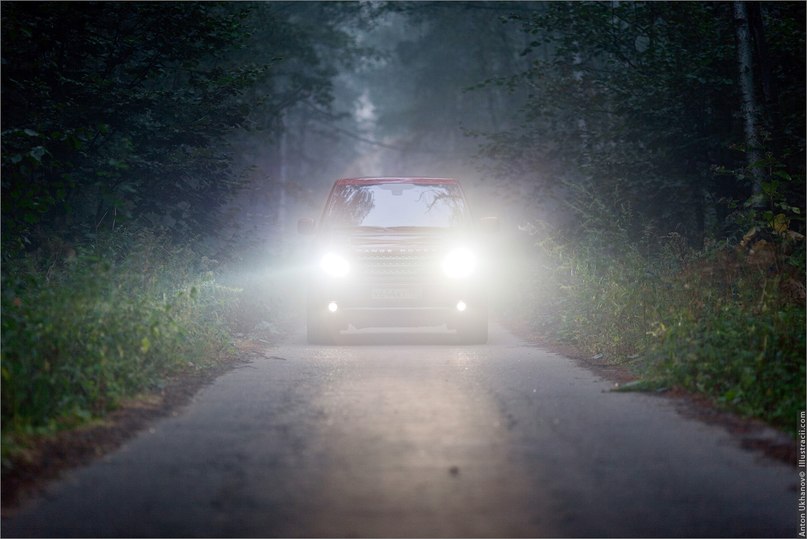 Илья Пугачёв фотография #25