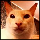 Фотография Ульяновой Людмилы