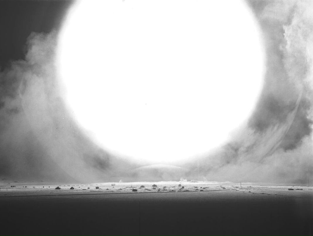 Александр Майер фотография #44