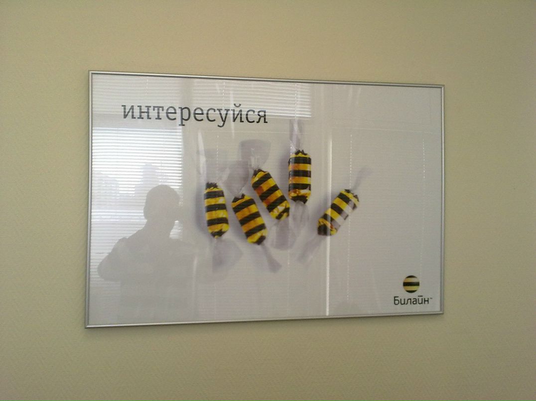 Александр Водейко фотография #35