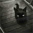 Фотография Мандрыки Алины