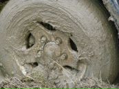 Фотография Иванова Дмитрия