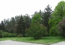 Наталія Пекна фотография #34 (источник - https://vk.com/id93778460)