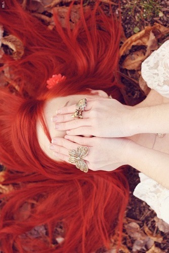 №10, София Нормальная №10, София Нормальная