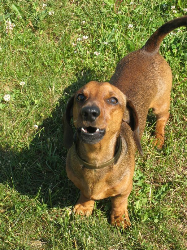 Viktoria Saveleva фотография #28