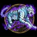 Ярік Кос фотография #17 (источник - https://vk.com/id140994621)