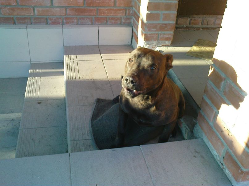 Дмитрий Попов фотография #50