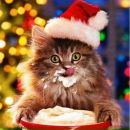 Фотография Баёвой Натальи