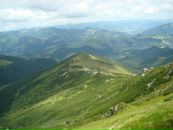 Світлана Сенів фотография #28 (источник - https://vk.com/id60197450)