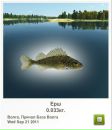 Іван Козарів фотография #33 (источник - https://vk.com/id136712253)