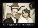 Олександр Пасічник фотография #43 (источник - https://vk.com/id137309860)