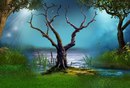 Віка Голик фотография #23 (источник - https://vk.com/id154219595)