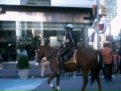 Артем Іванюк фотография #49 (источник - https://vk.com/id10127216)