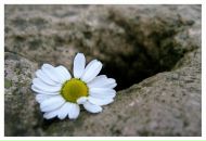 Іринка Хитра фотография #36 (источник - https://vk.com/id12679564)