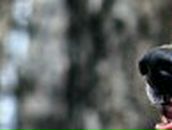 Сергій Савченко фотография #40 (источник - https://vk.com/id17200152)