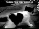 Фотография Будник Дарьи