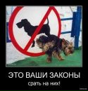 Віталій Погоріляк фотография #32 (источник - https://vk.com/id29035470)