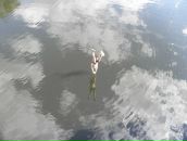 Дмитрий Черняев фотография #8 (источник - https://vk.com/id1766498)