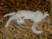 Фотография Марьенко Нины