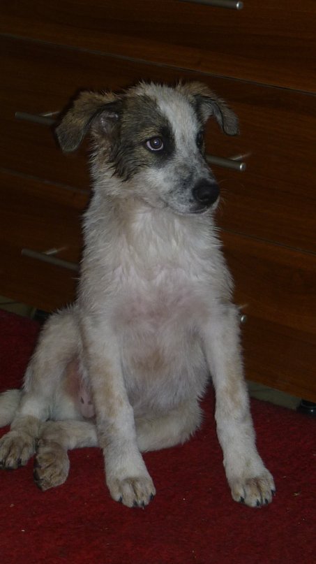 Александр Усов фотография #12