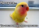 Юрій Лазутіков фотография #44 (источник - https://vk.com/id155060330)
